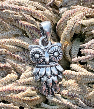 Eule Silber Anhänger im Ganesha Online Shop